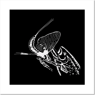 Fly Fishing Drawing Fish Angler Fisher Gifts Posters and Art